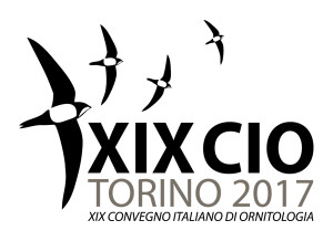 XIXCIO logo